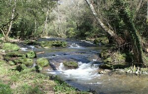 Entrainement du 17/05/25 : Roquefort les pins